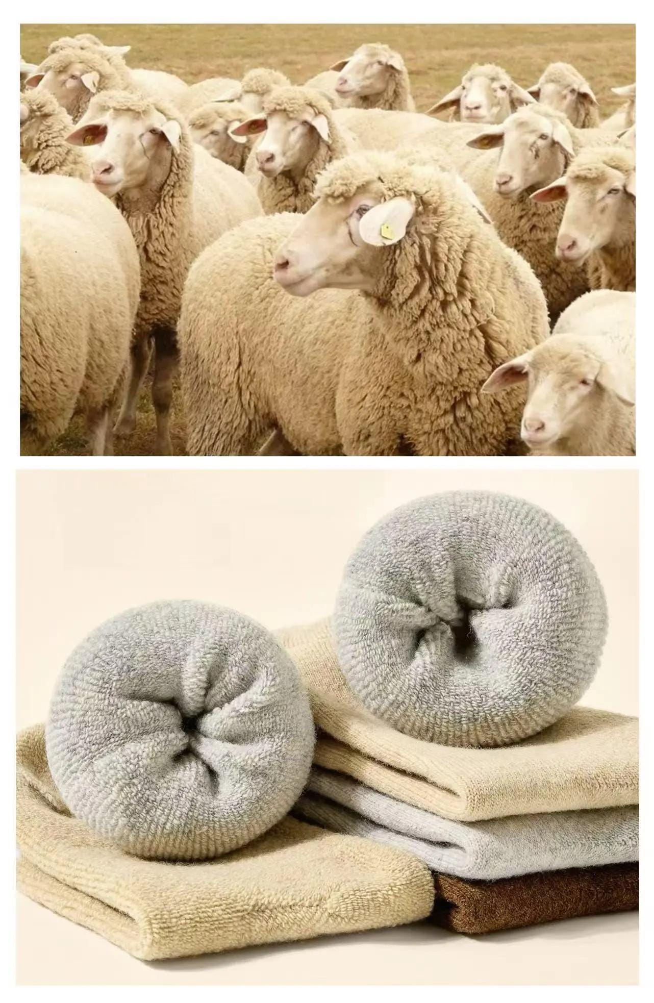 Merino Wool Socks Gift Box, Warm Unisex Winter Set, Slipper Socks