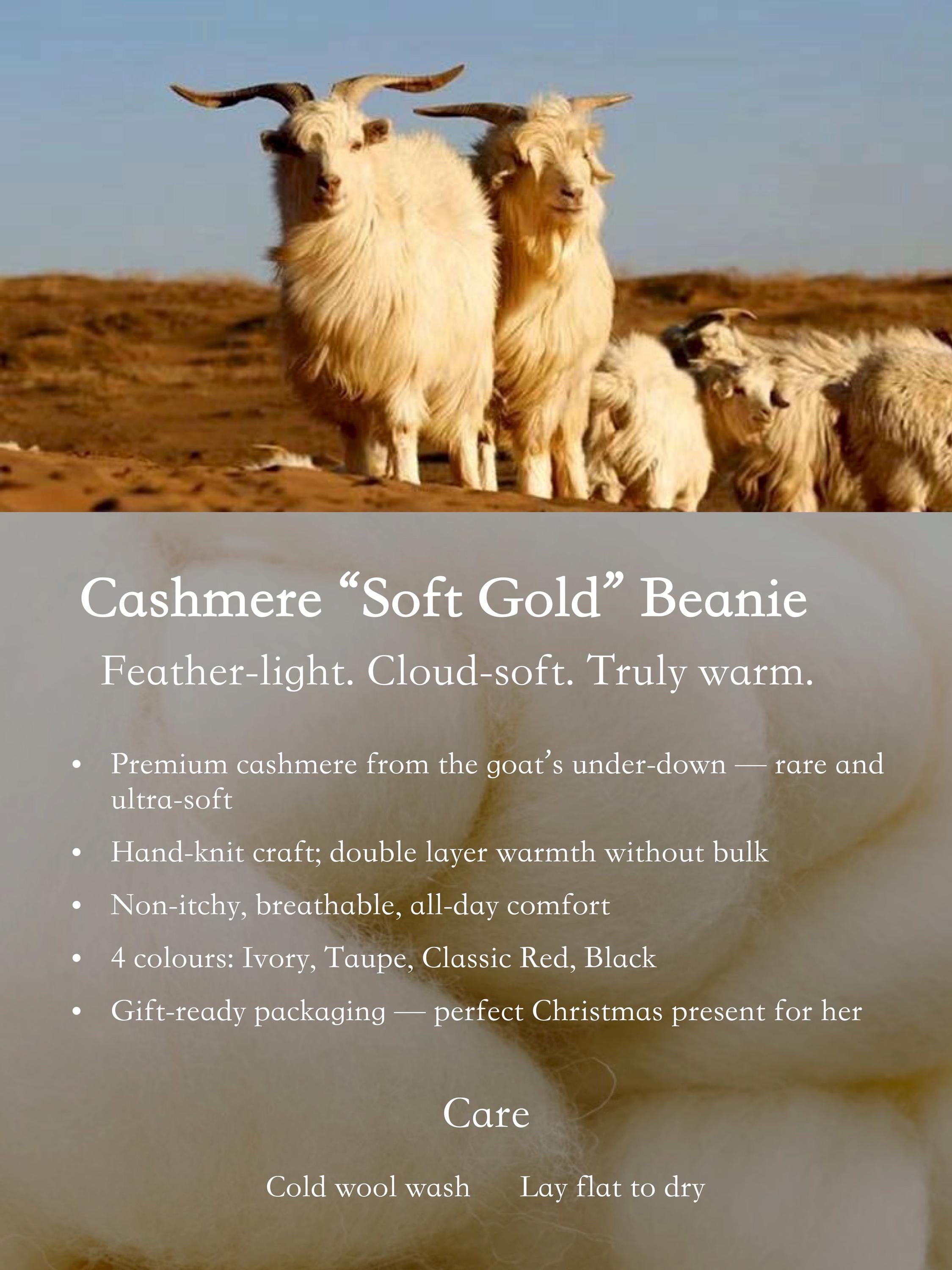 100% Cashmere Double-Tone Beanie | Soft Knit Winter Hat for Women & Men | Warm Luxury Wool Hat Gift