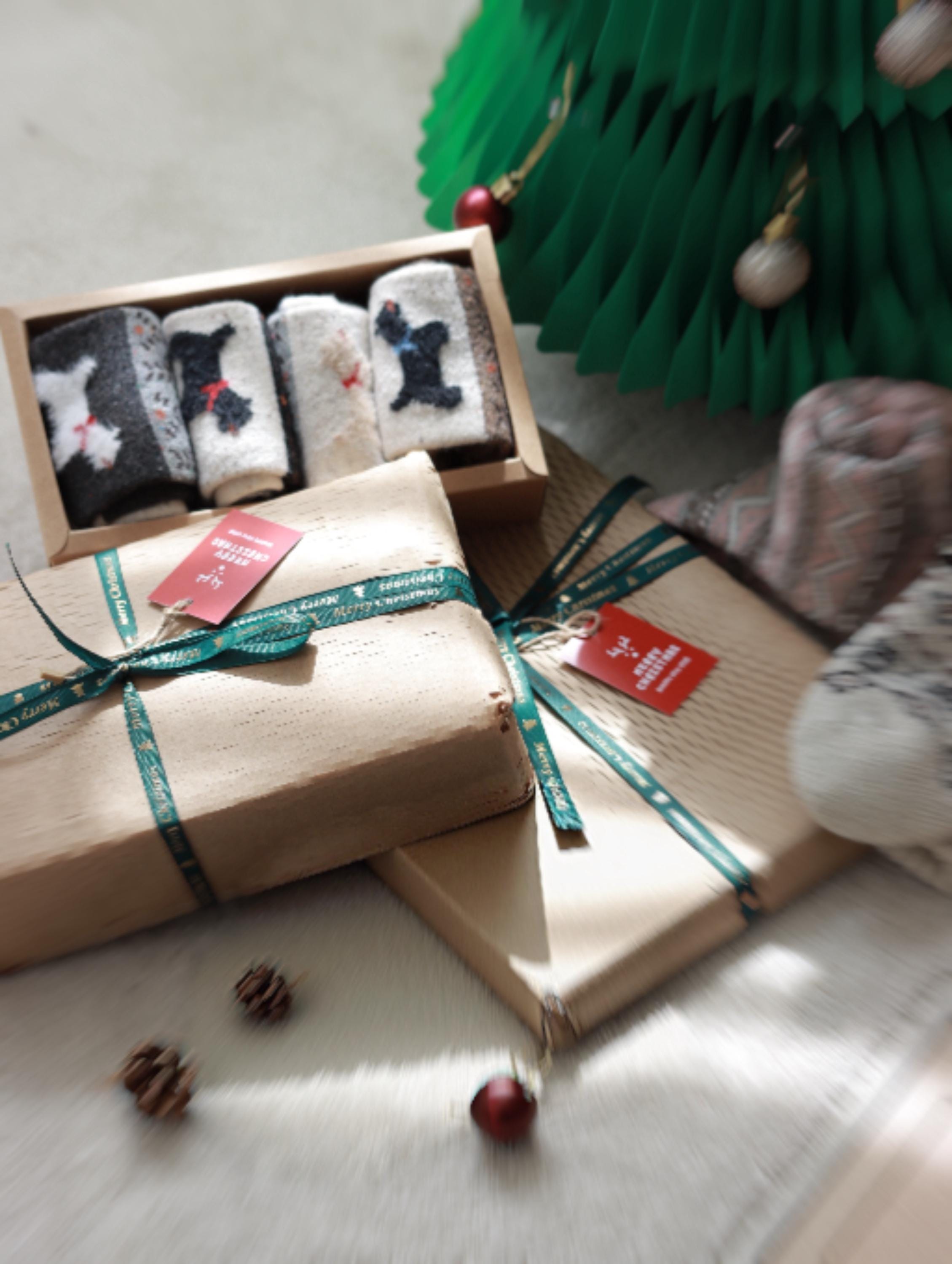 Set of four Merino cotton socks featuring dog, cat, and Scotty designs by Lian Loungewear, perfect for animal gift enthusiasts.